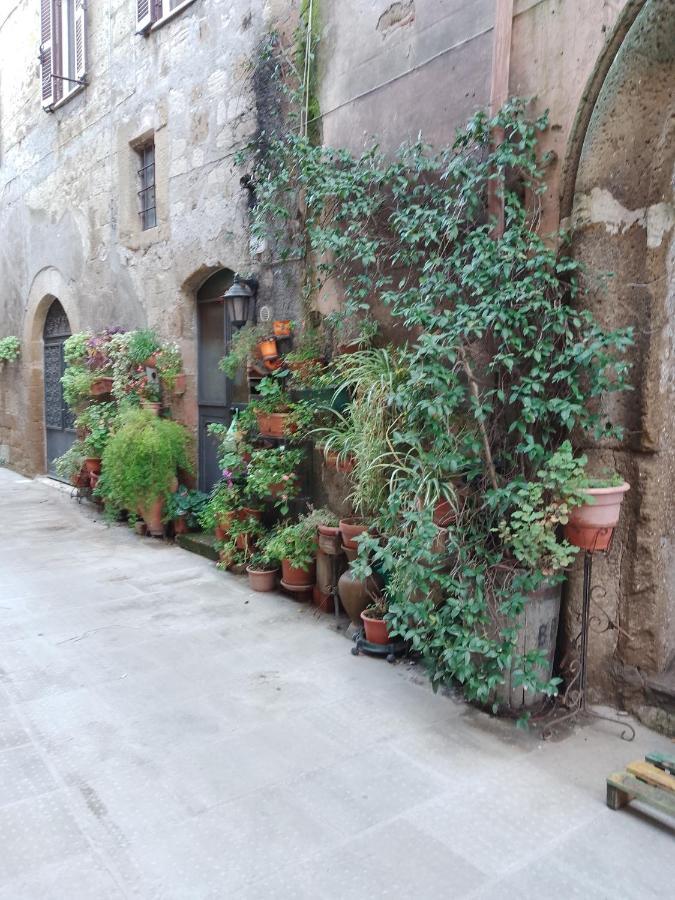 La Casa Di Sally Holiday home *